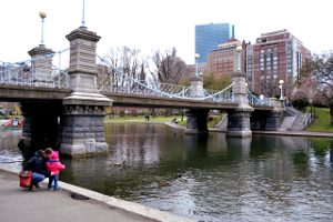 ボストンの画像