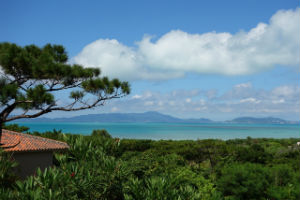 サイパンの画像